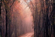 足球赛上向对手挥拳 丹戎巴葛联队19岁球员被捕.