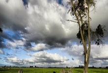 [图]德甲-凯恩戴帽+中圈吊射 拜仁8-0大胜达姆施塔特.