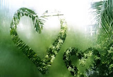 德甲-凯恩帽子戏法 拜仁4-0斯图加特登顶榜首.