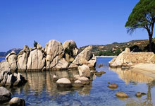 九游娱乐官网：[欧冠]里克尔梅射门被扑 科雷亚门前补射打进.